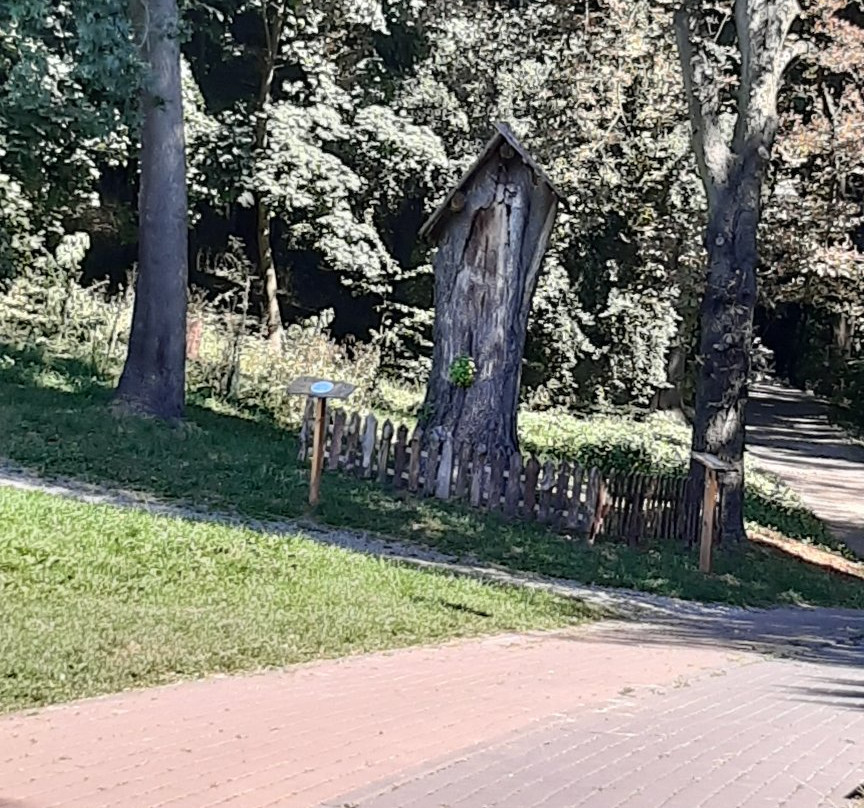 Piszczele Park in Sandomierz景点图片