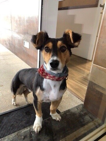 Quinta do Bosque主图