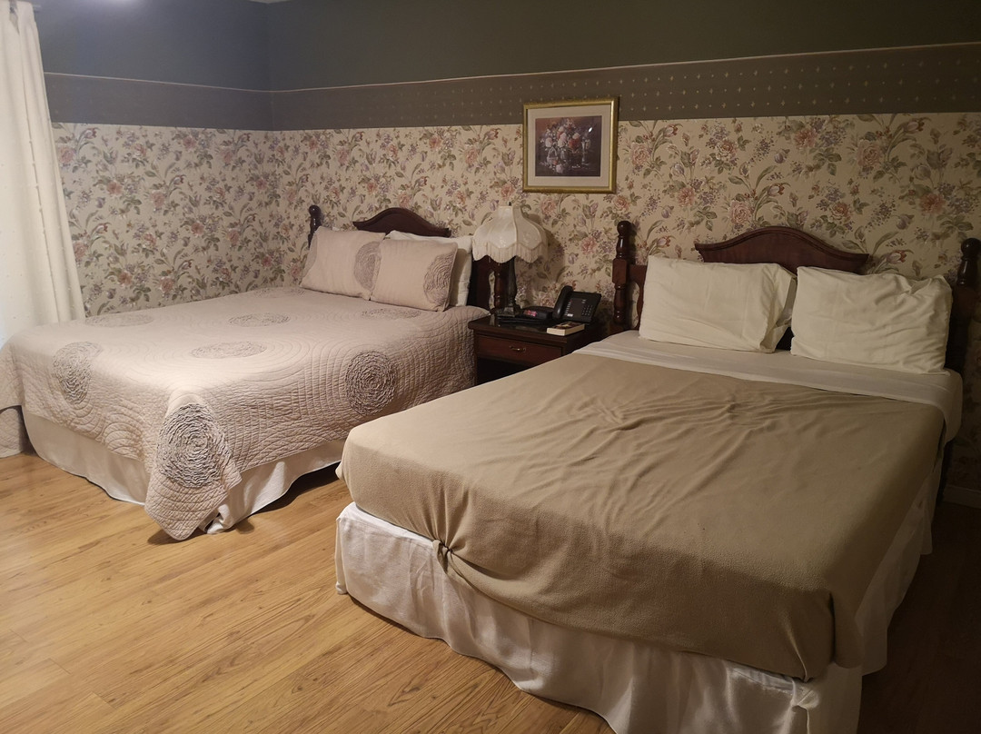 Auberge Le Flores主图