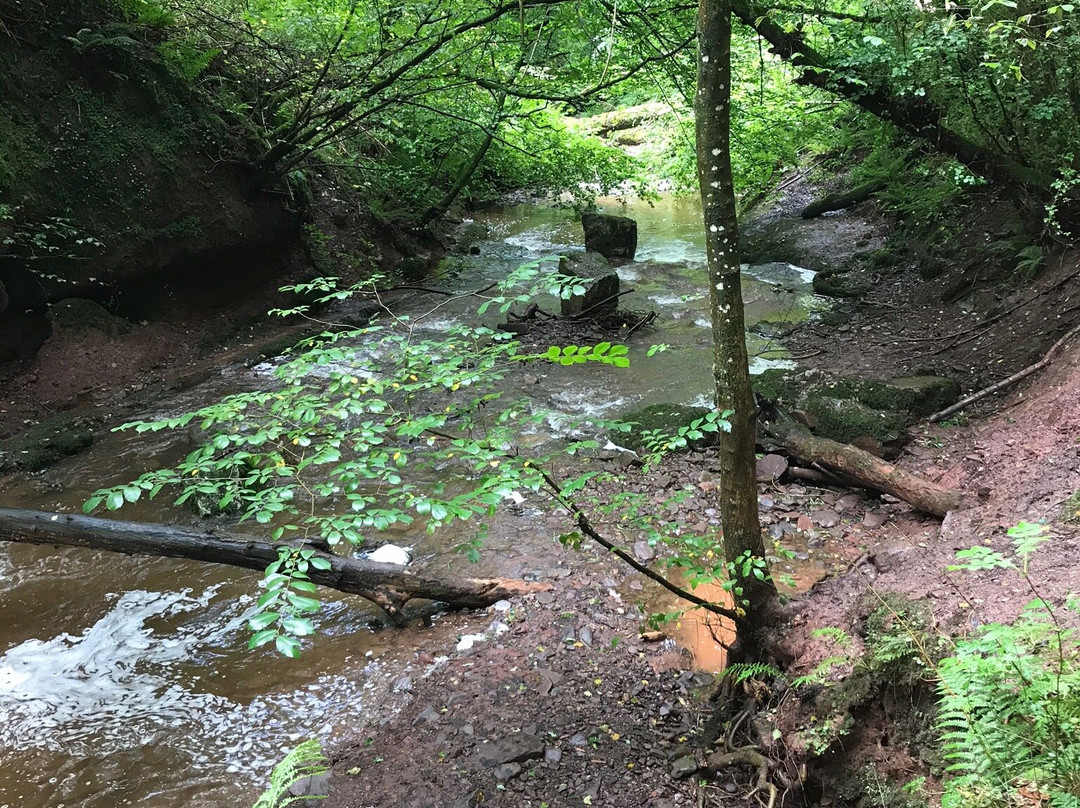 Pwll-y-wrach Nature Reserve景点图片