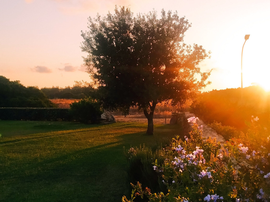 Inghirios Wellness Country Resort主图
