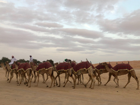 Getaways Tourism (LLC)-迪拜必去景点