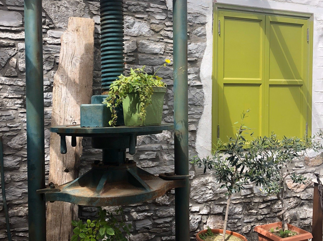 Ladomylos-Siana必去景点