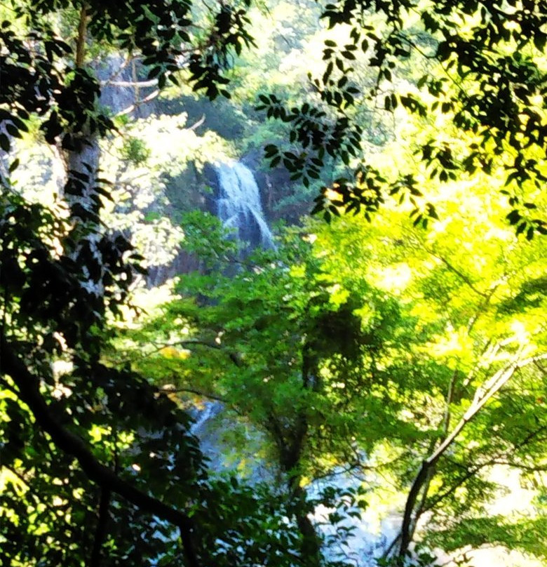 Oma Shrine-熊野市必去景点