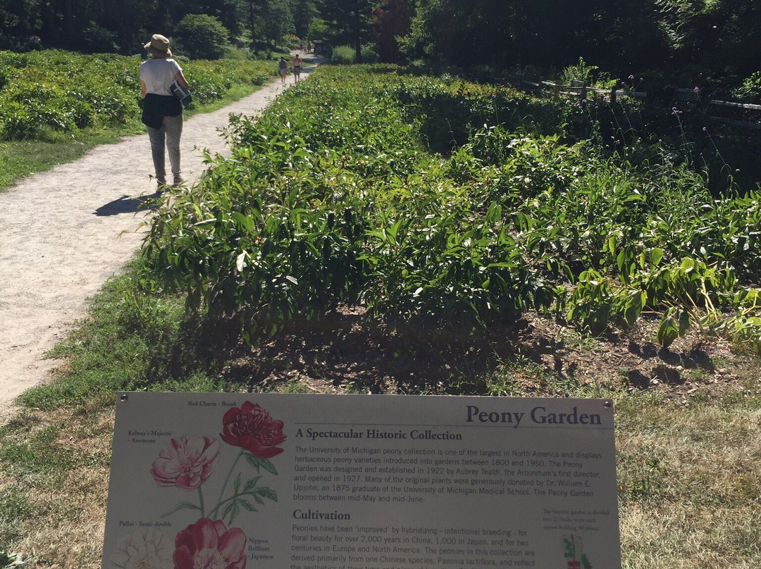 Nichols Arboretum-安娜堡必去景点