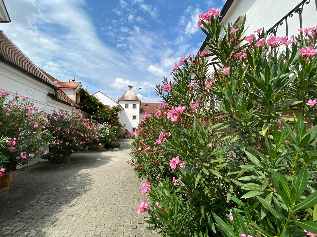 Weingut Feiler-Artinger-Rust必去景点