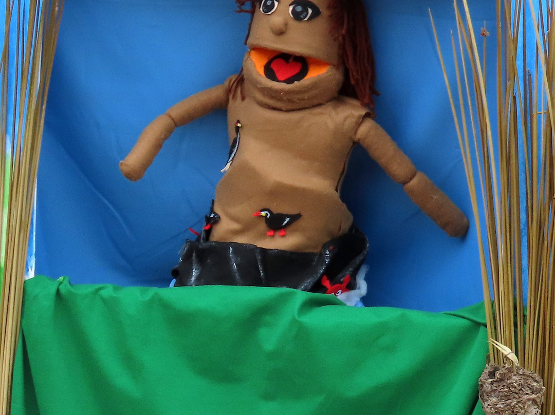 Humedal Pantanos de Villa-利马必去景点