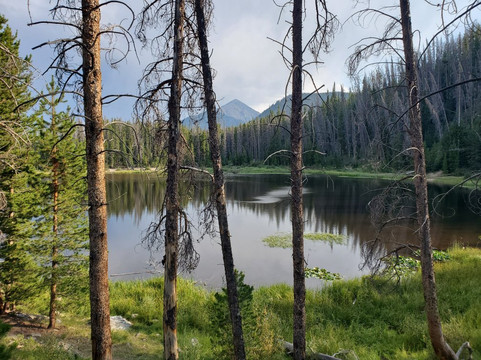 Lily Pad Lake-银座必去景点