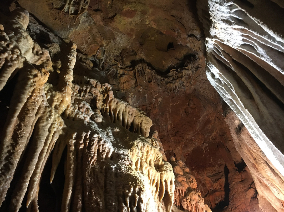 Grotte du Bosc景点图片