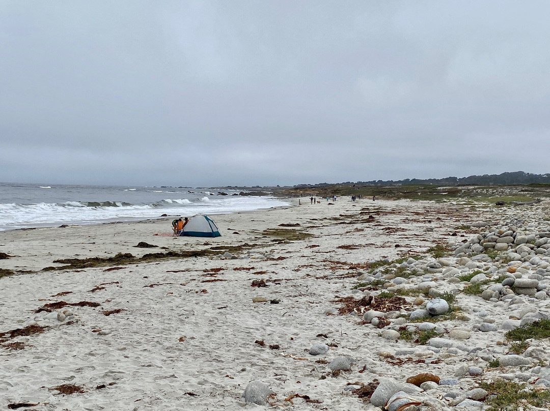 Spanish Bay-圆石滩必去景点