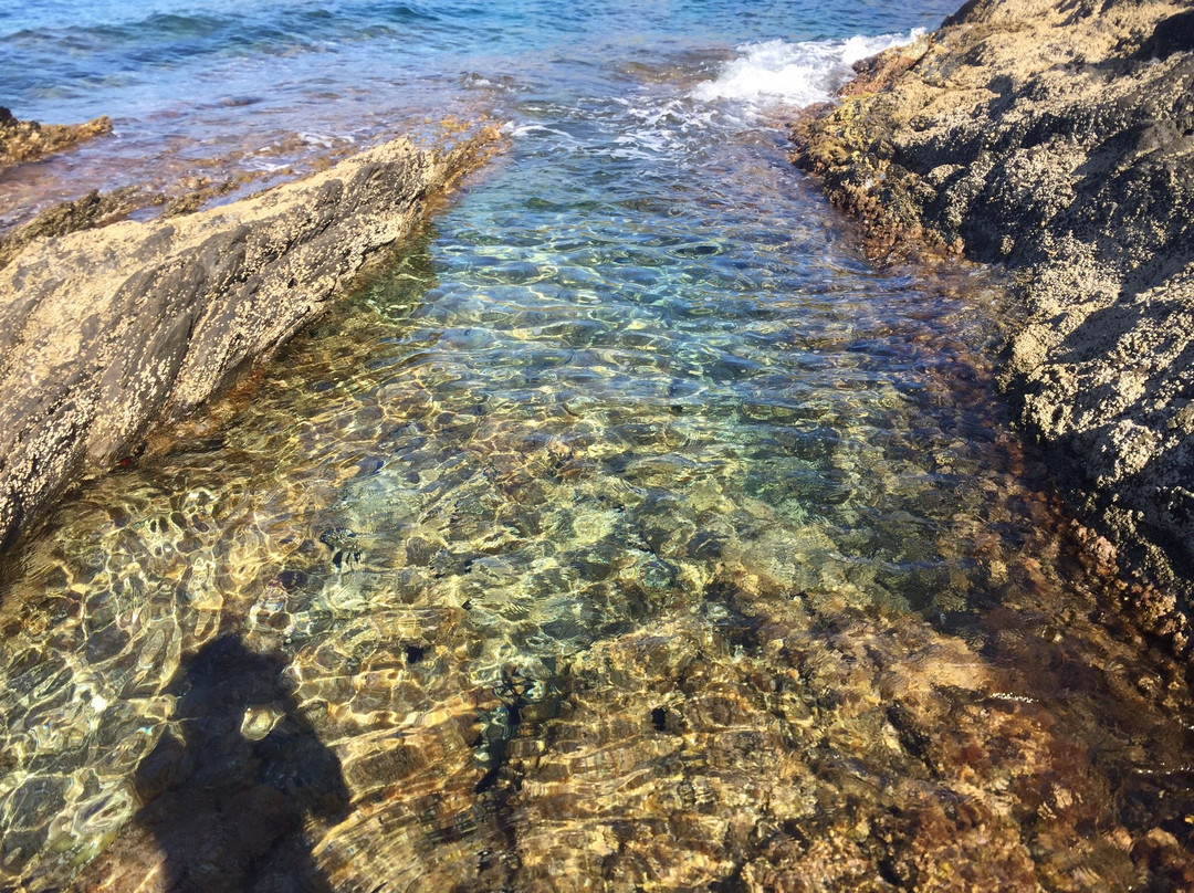 Cala Tamariua景点图片
