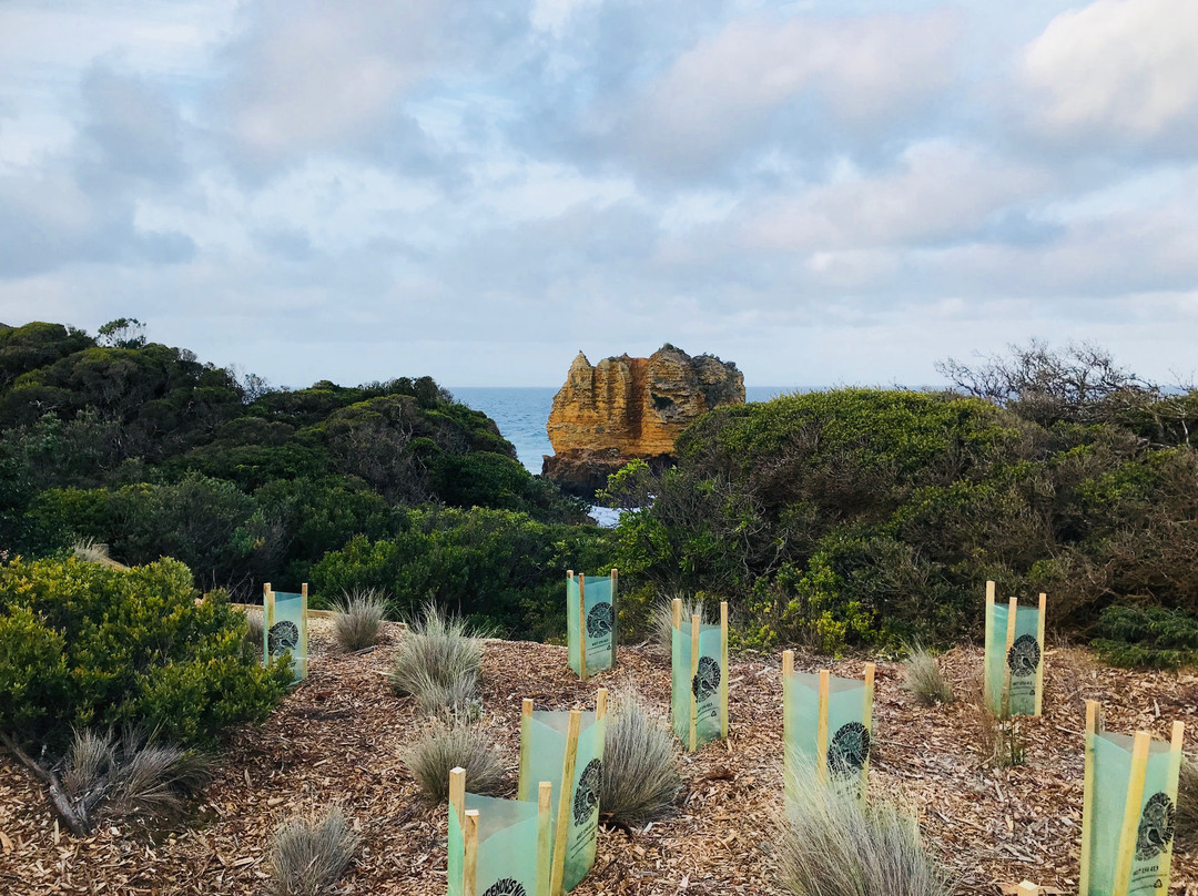 Eagle Rock Marine Sanctuary-Aireys Inlet必去景点