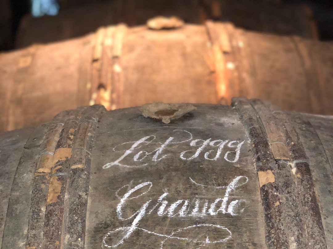 Hine Cognac-Jarnac必去景点