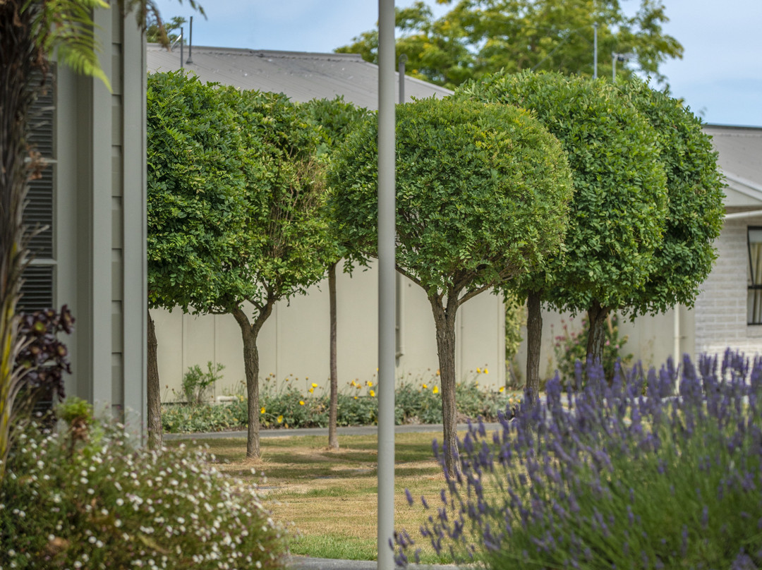 U Studios Masterton主图