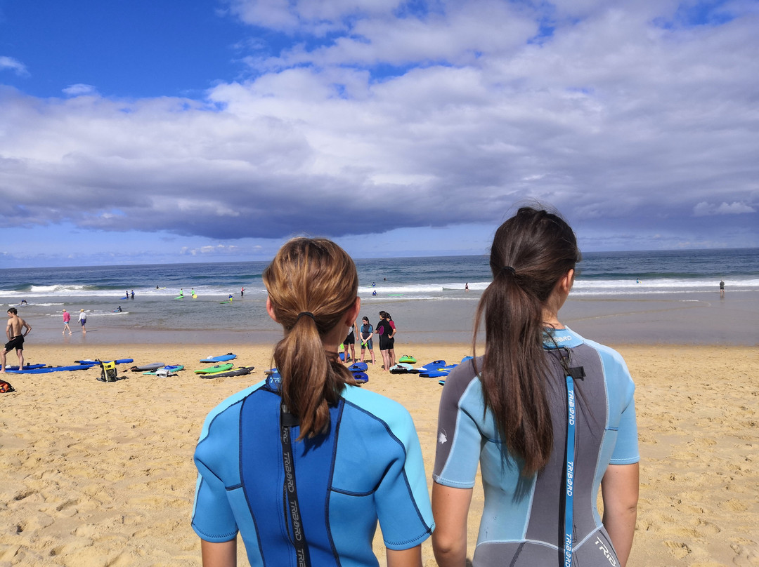 Sharkpool Surf School景点图片