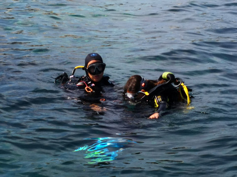 Subtortue Diving-Lecci必去景点