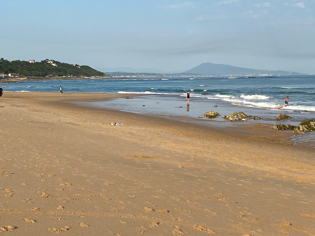 Plage de l'Uhabia景点图片