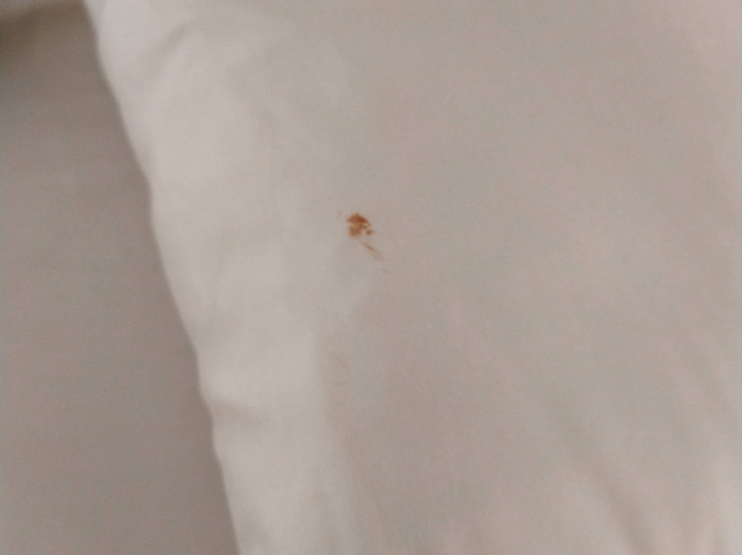 Comfort Suites主图