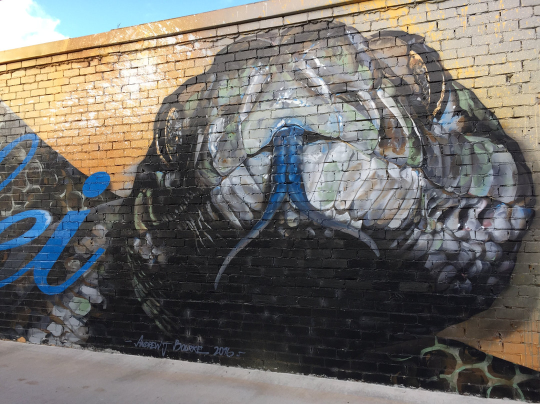 Sirum Snake Mural-Woomelang必去景点