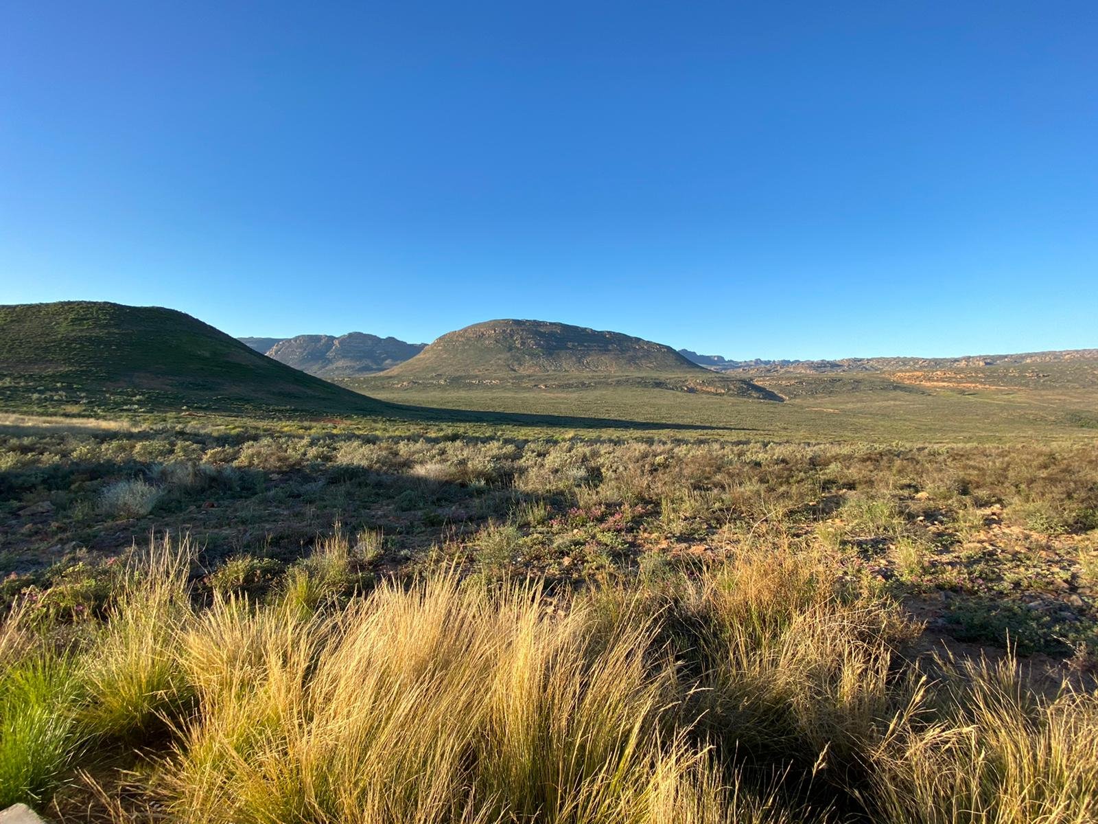 Simbavati Cederberg Ridge-酒店景观