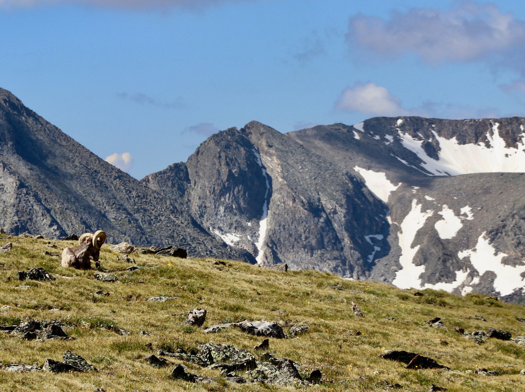 Tundra Communities Trail景点图片