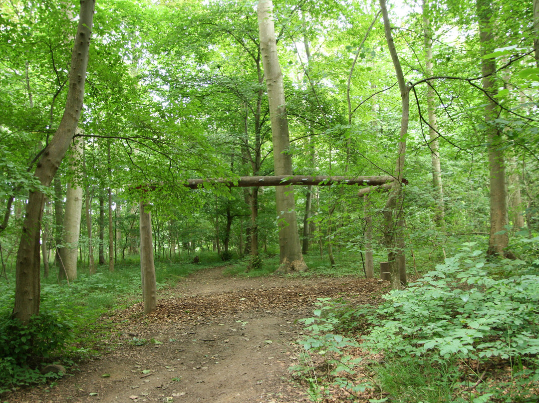 Tønballe Naturcenter景点图片