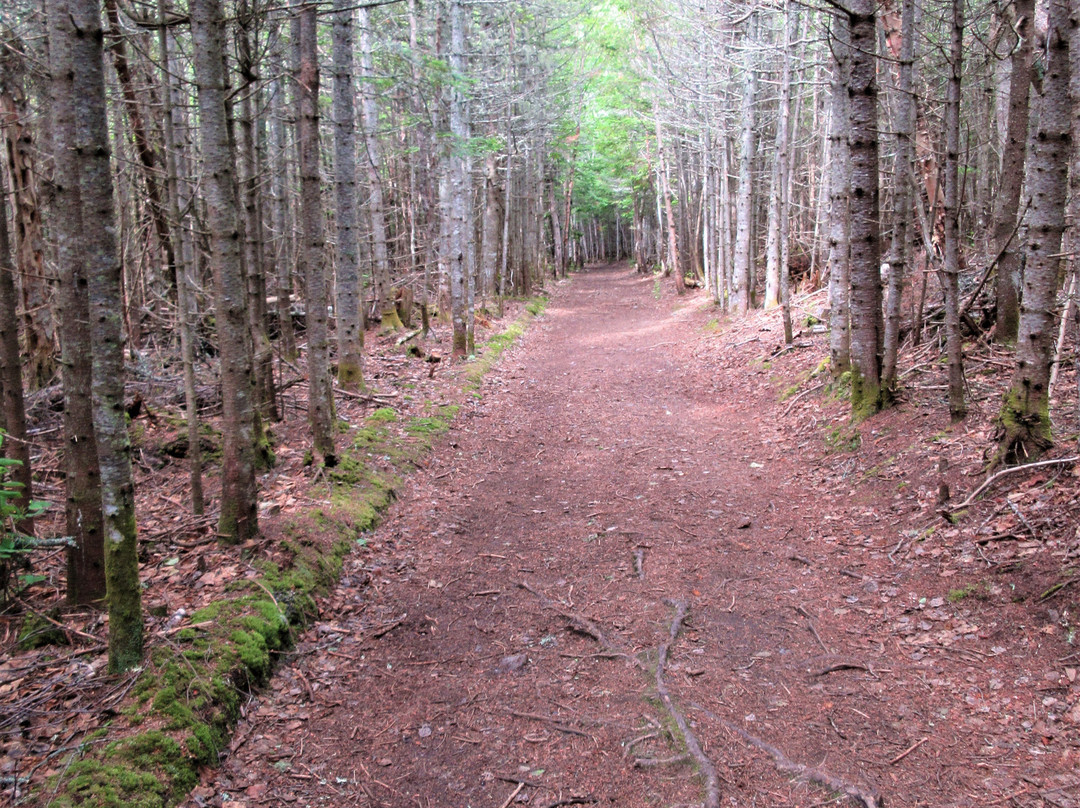 Parc National du Bic-Le Bic必去景点