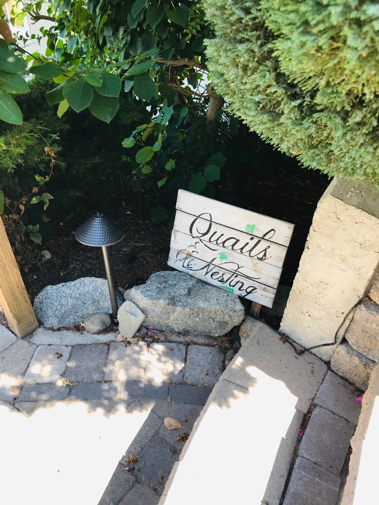 Apples and Quails Bed & Breakfast-官方