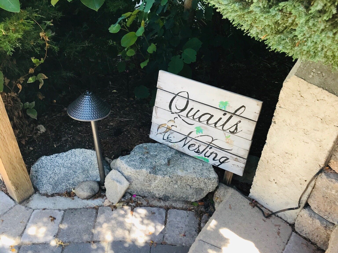 Apples and Quails Bed & Breakfast主图