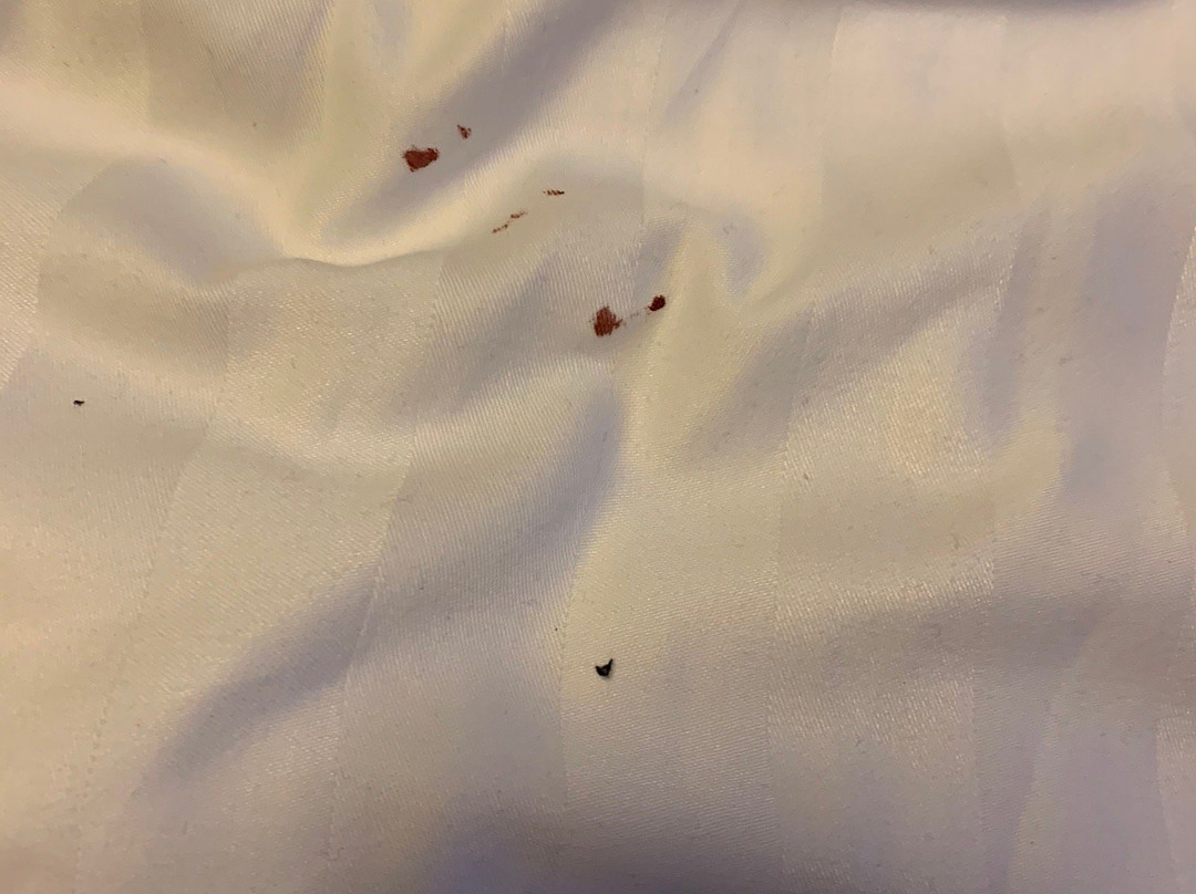 City Central Hotel Örebro主图