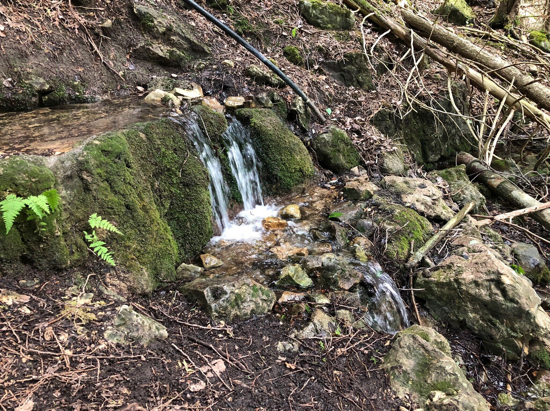 Feversham Gorge Conservation Area景点图片