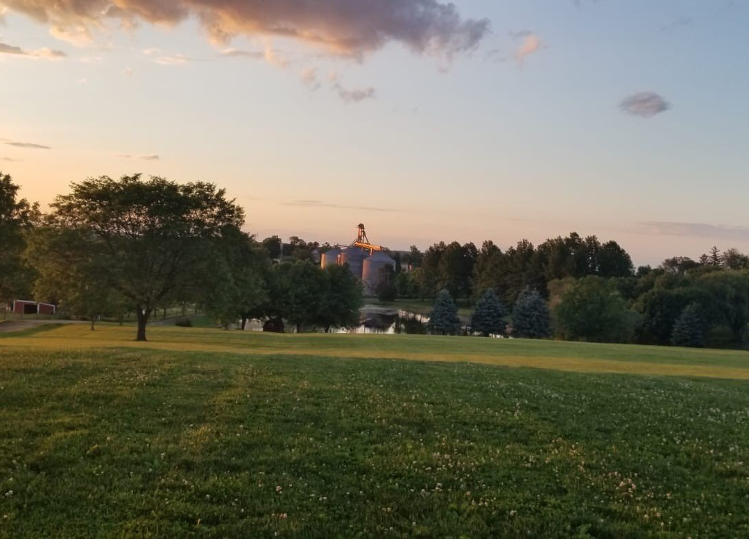 The Country Experience主图