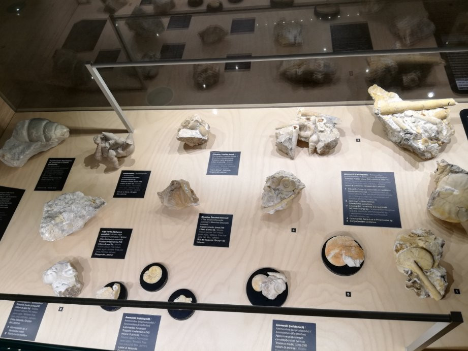 Geological Museum of the Dolomites景点图片