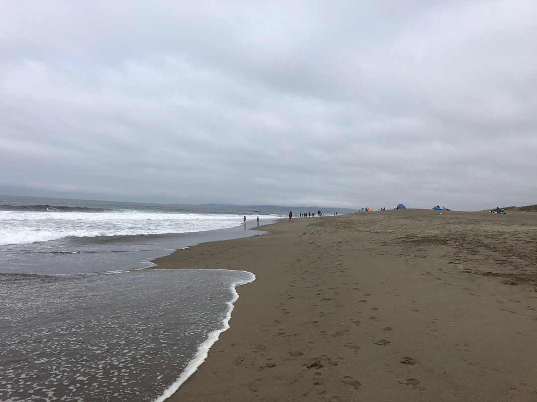 Point Reyes Beach North景点图片