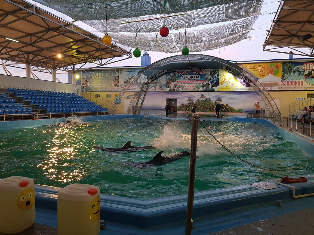 Azov Dolphinarium Nemo景点图片