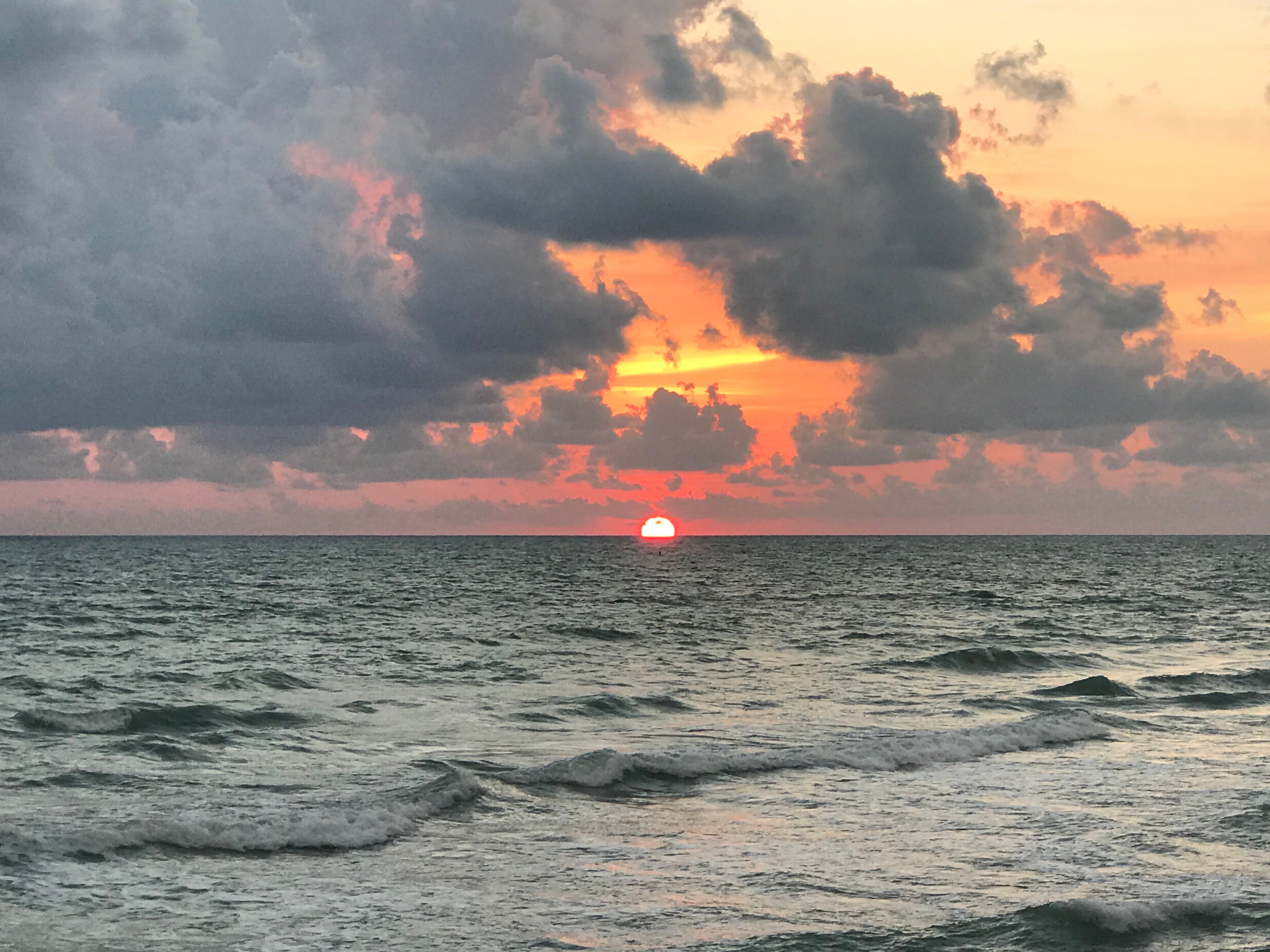 Manasota Beach Club-泳池