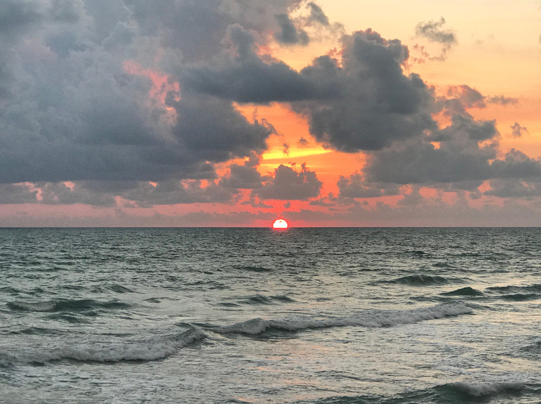 Manasota Beach Club主图