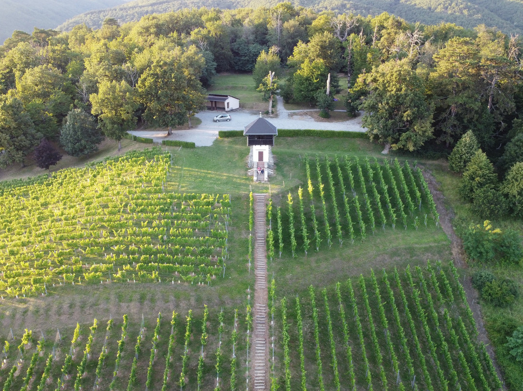 Vidikovac Vila Vinkomir景点图片