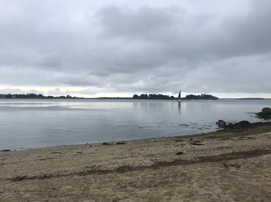 Location de Vélo P'tit Louis-伊尔奥穆瓦内必去景点