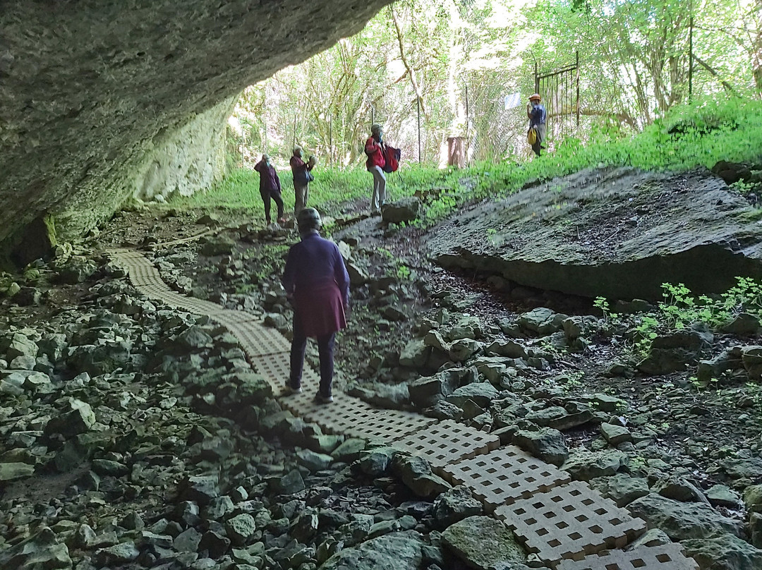 Cueva Palomera景点图片