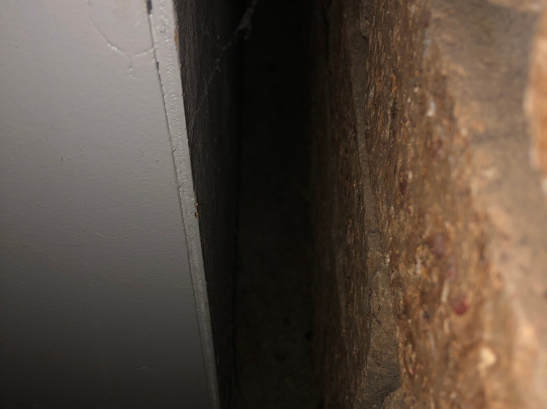 山景汽车旅馆和度假小屋主图