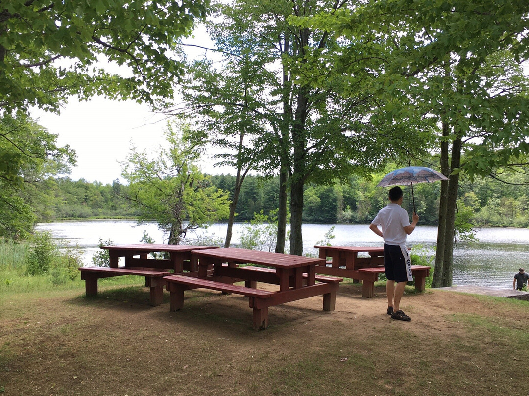 Parc du Lac-Beauchamp-加蒂诺必去景点