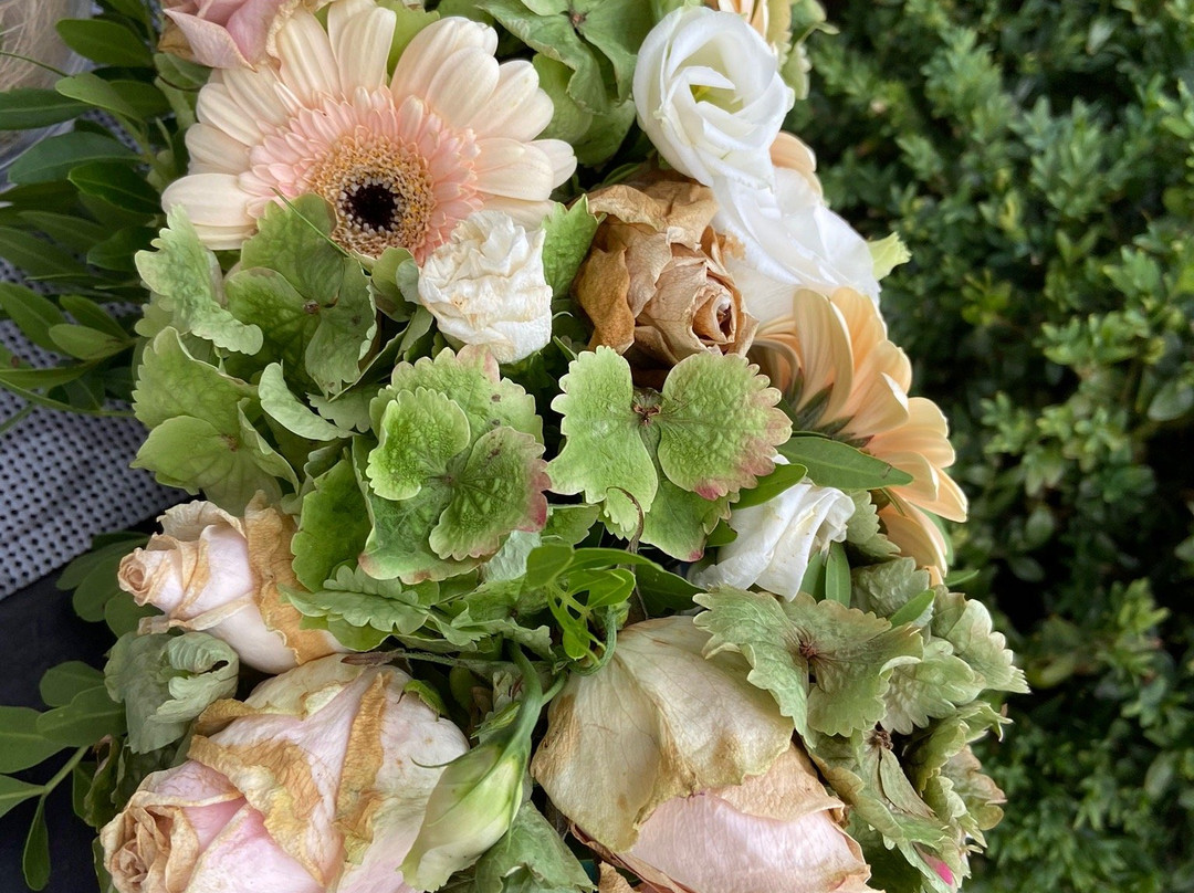 Balthasar Neumann Speiserei & Gastehaus主图