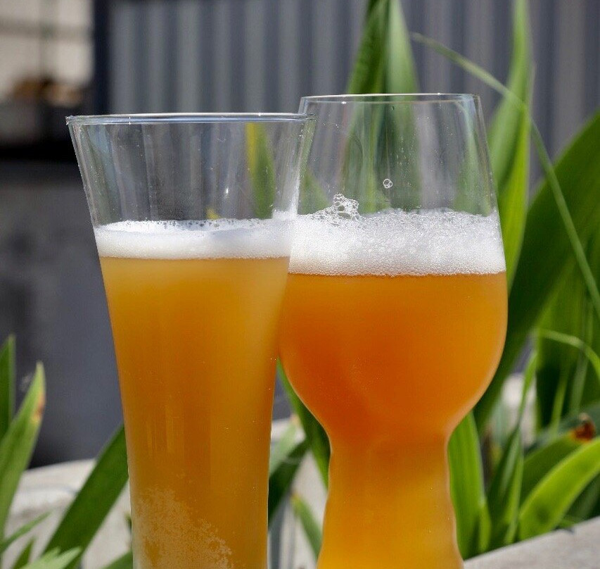 Matrix Brewery-波多利斯克必去景点