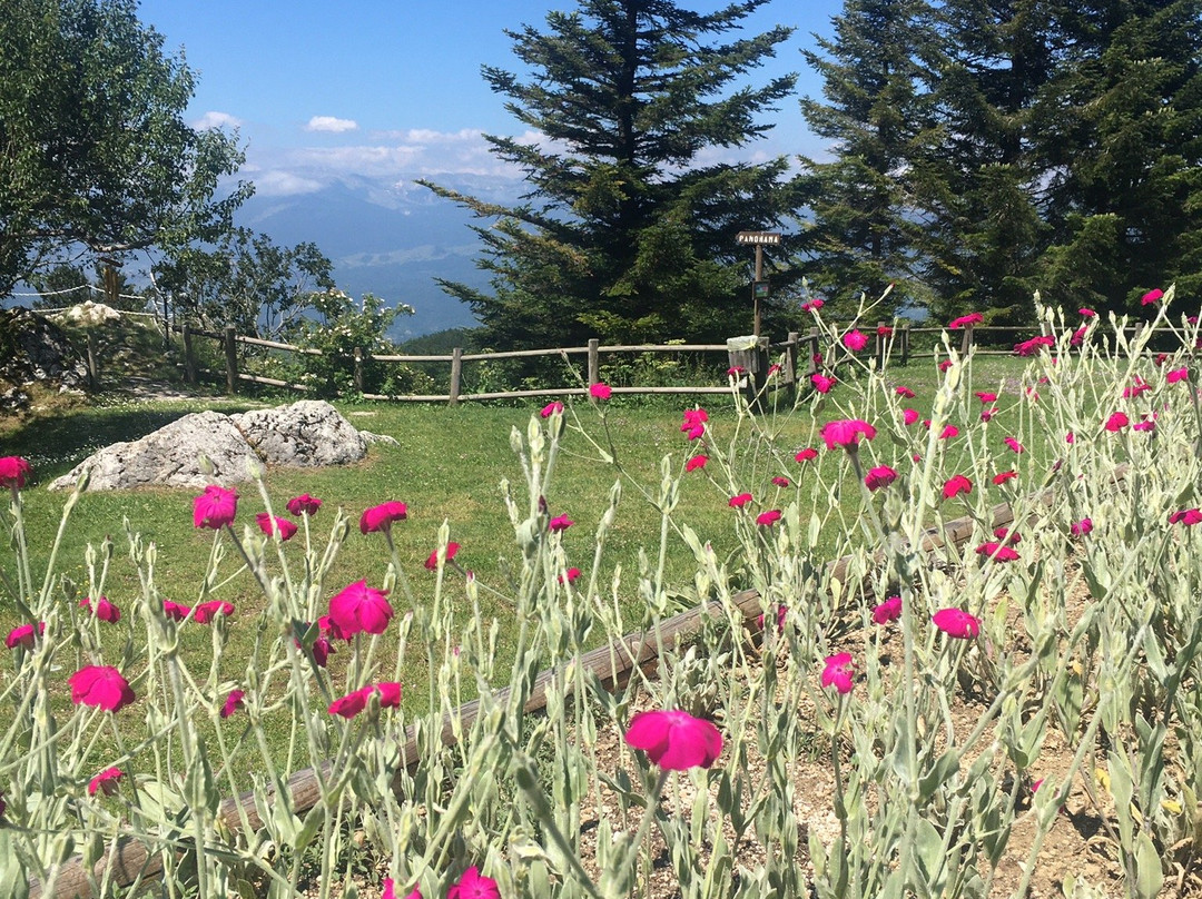 Giardino della Flora Appenninica景点图片