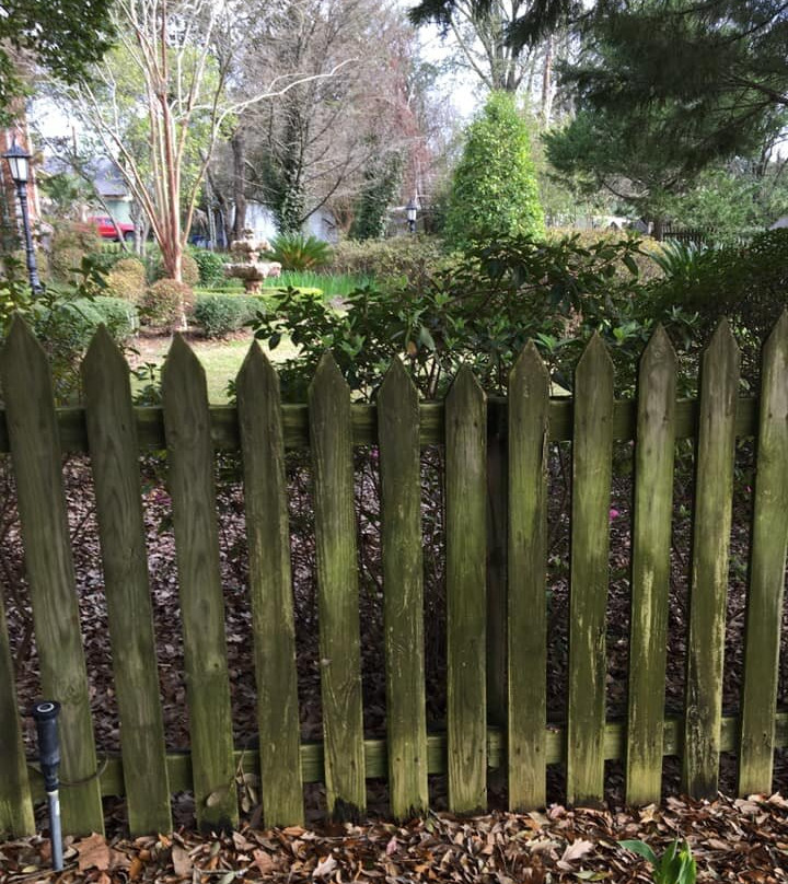 Judge Porter House Bed and Breakfast主图