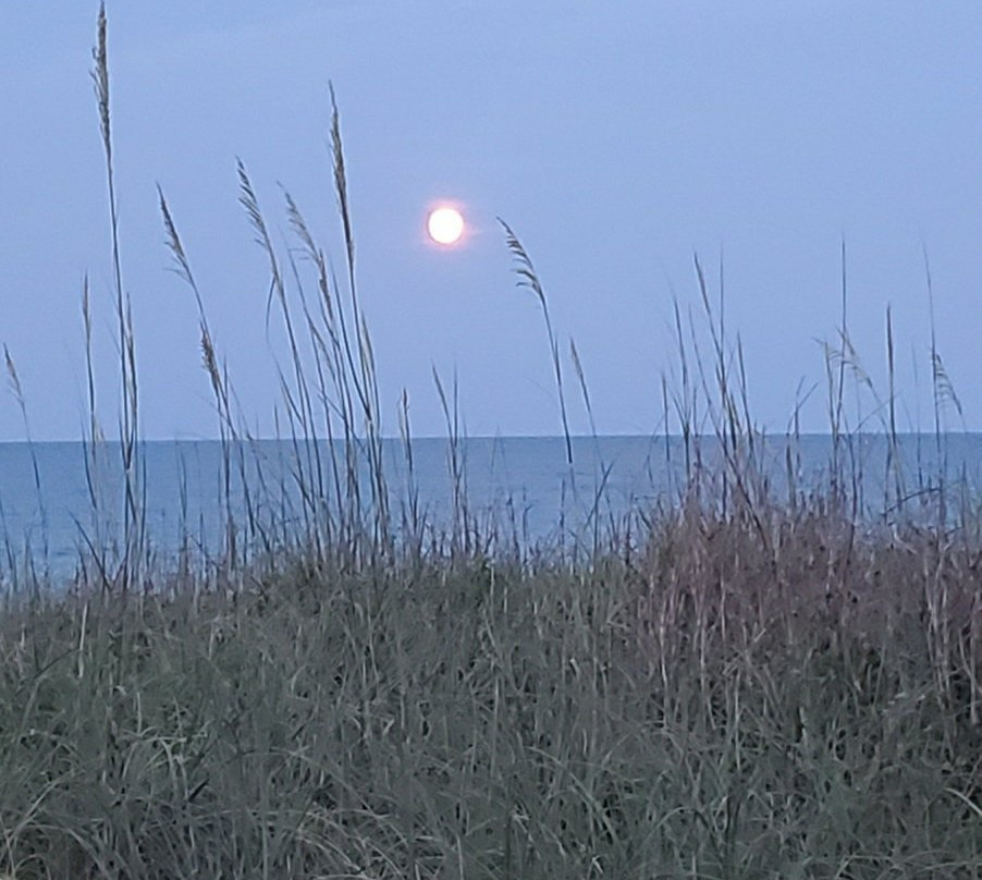 The Savannah Inn主图