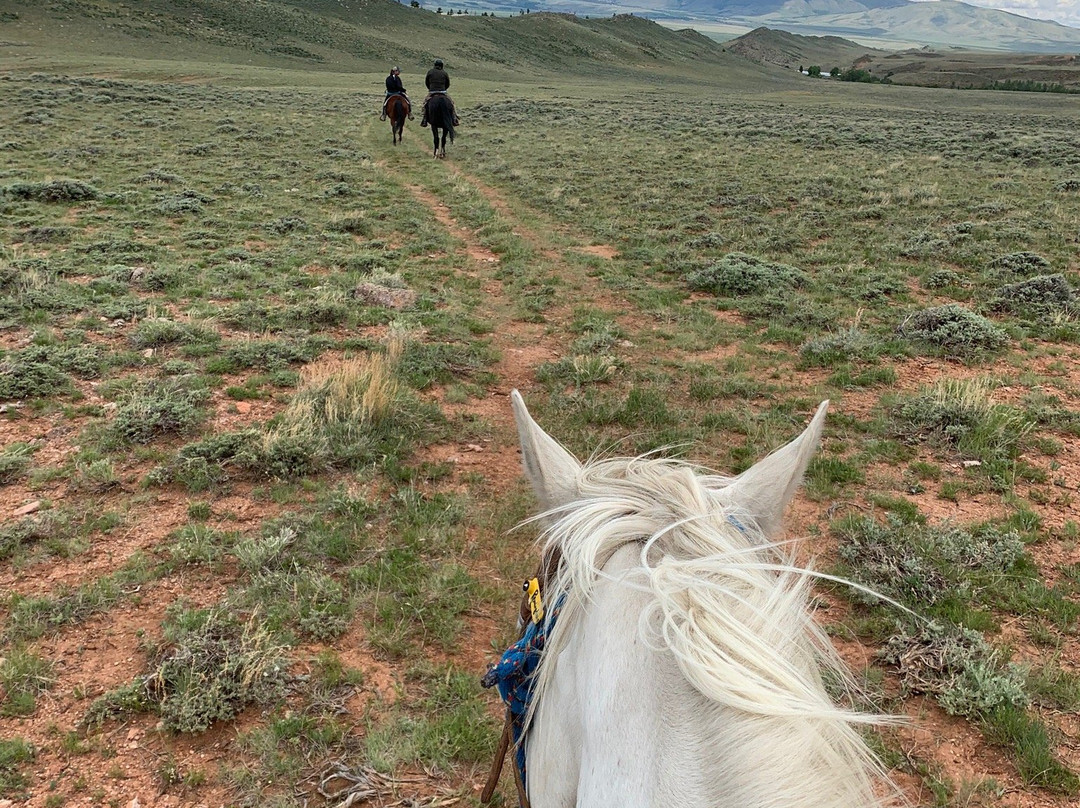 E & H Guide Service-拉勒米必去景点