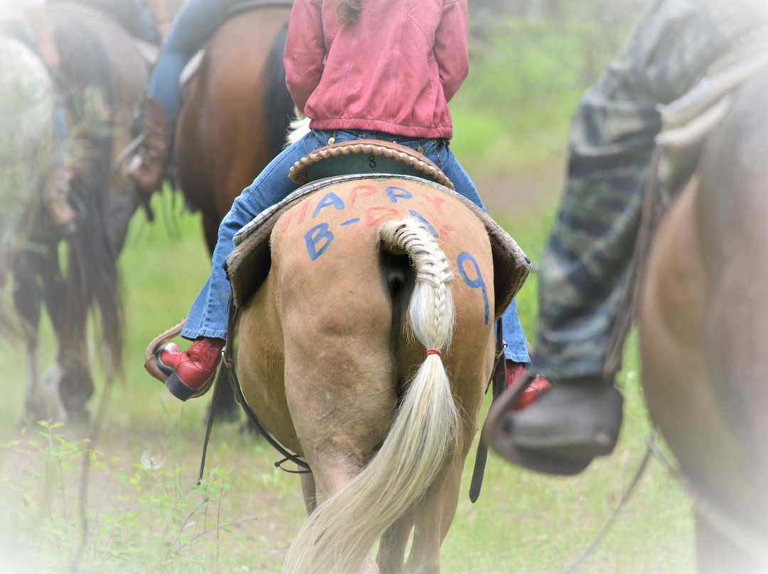 Global Outdoor Travel - GOT Adventure-Wycliffe必去景点