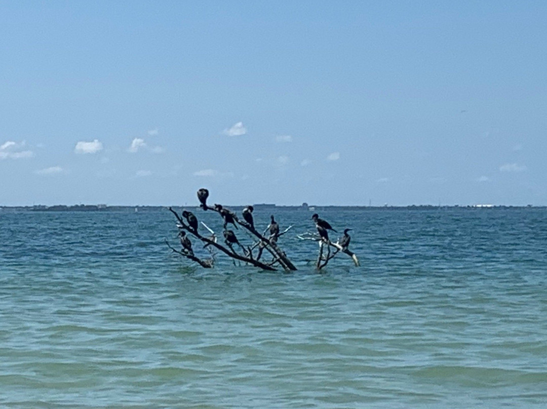 Seal in the Sun Charters-Holiday必去景点